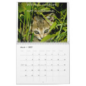 Kittens van geweten kalender (Mar 2027)
