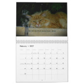 Kittens van geweten kalender (Feb 2027)