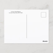 Kittens van haard Henriëtte Ronner-Knip Briefkaart (Achterkant)