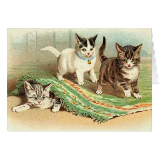 Kittens Verbergen en zoeken (Voorkant Horizontaal)