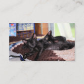 Kittens Visitekaartje (Achterkant)