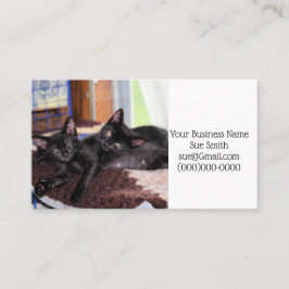 Kittens Visitekaartje