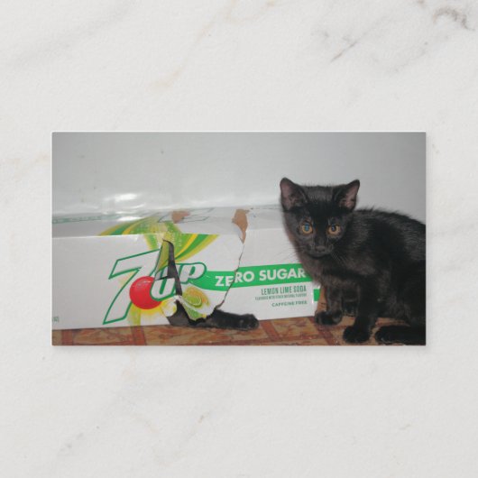 Kittens Visitekaartje (Achterkant)