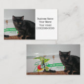 Kittens Visitekaartje (Voorkant / Achterkant)