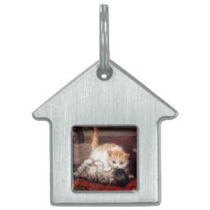 KITTENS wakker worden Huisdieren Naamplaatje