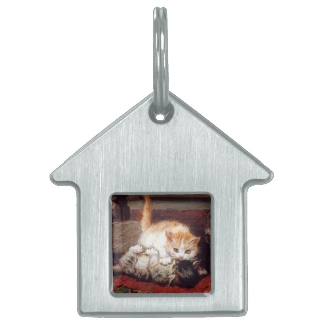 KITTENS wakker worden Huisdieren Naamplaatje (Voorkant)