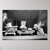 Kittens Washing Dishes - Harry Whittier Frees - 19 Poster (Voorkant)