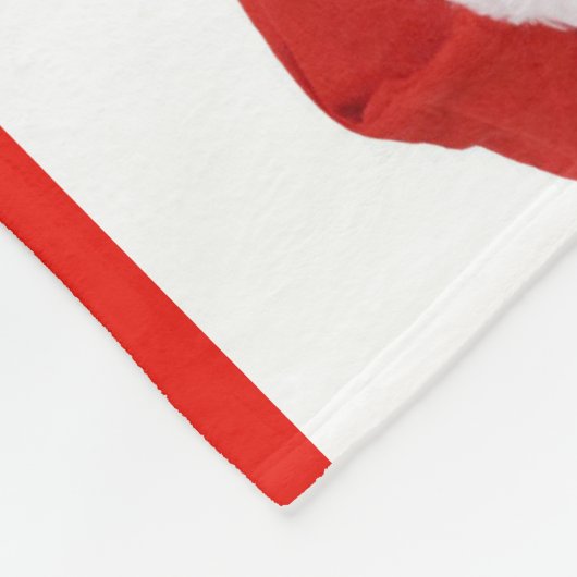 Kittens Wearing Santa Hat Fleece Blanket (Hoek)