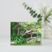 Kittens Wildlife Friends Briefkaart (Staand voorkant)