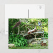 Kittens Wildlife Friends Briefkaart (Voorkant / Achterkant)