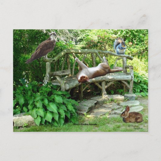 Kittens Wildlife Friends Briefkaart (Voorkant)