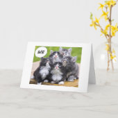 KITTENS WILLEN BESTE VRIEND GELUKKIGE VERJAARDAG W KAART (Gele Bloem)