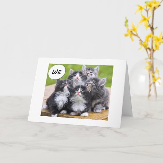 KITTENS WILLEN BESTE VRIEND GELUKKIGE VERJAARDAG W KAART (Gele Bloem)