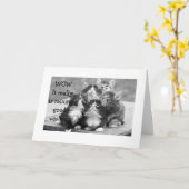 KITTENS ZIJN HET ER ALLEMAAL OVER EENS DAT JE EEN  KAART (Gele Bloem)