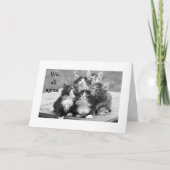 KITTENS ZIJN HET ER ALLEMAAL OVER EENS DAT JE EEN  KAART (Voorkant)