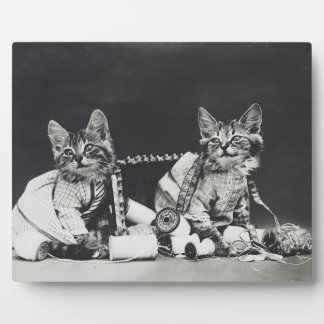 Kittensonde makers 1914 fotoplaat