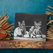 Kittensonde makers 1914 fotoplaat (Zijkant)