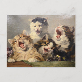 Kittensymfonie door Julius Adam II Briefkaart