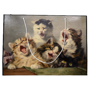 Kittensymfonie door Julius Adam II Groot Cadeauzakje