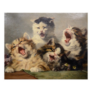 Kittensymfonie door Julius Adam II Perfect Poster