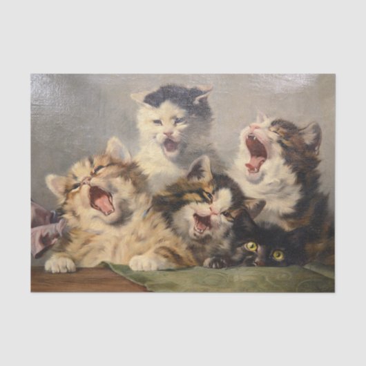 Kittensymfonie door Julius Adam II Tissuepapier (Voorkant)