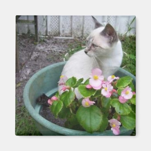 Kittie en Bloempot Magneet (Voorkant)