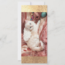 Kittie Engel voor Kerstmis