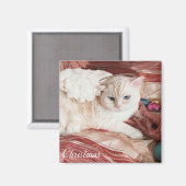 Kittie Engel voor Kerstmis Magneet (Voorkant / Achterkant)