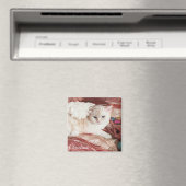 Kittie Engel voor Kerstmis Magneet (Insitu (Vaatwasser))