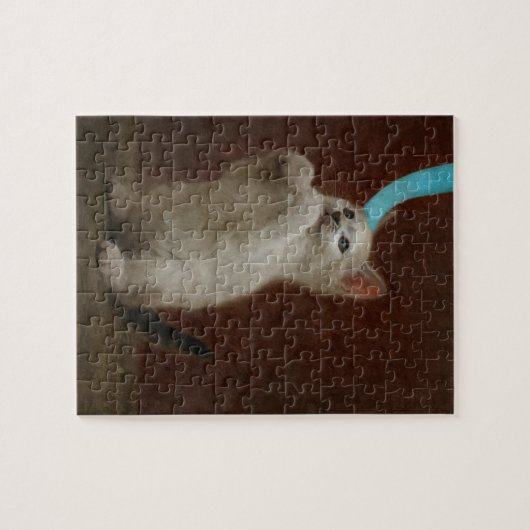 Kittie spelen legpuzzel (Horizontaal)