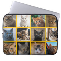 Kitties Overal
