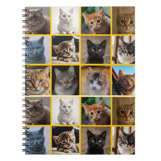 Kitties Overal Notitieboek (Voorkant)