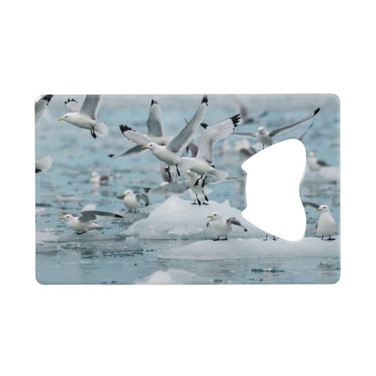 Kittiwakes Flying Creditkaart Flessenopener (Achterkant Horizontaal)