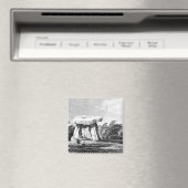 Kitts Cotty House Magneet (Insitu (Vaatwasser))