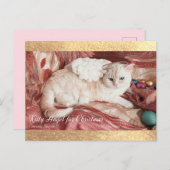 Kitty Angel for Chrismas Aankondigingskaart (Voorkant / Achterkant)