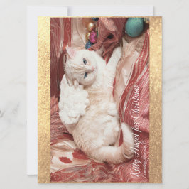 Kitty Angel for Christmas