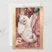 Kitty Angel For Christmas Bedankkaart (Voorkant)