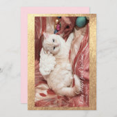 Kitty Angel For Christmas Bedankkaart (Voorkant / Achterkant)