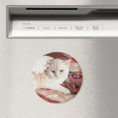 Kitty Angel for Christmas Magneet (Insitu (Vaatwasser))