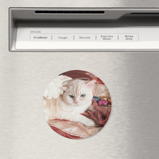 Kitty Angel for Christmas Magneet (Insitu (Vaatwasser))