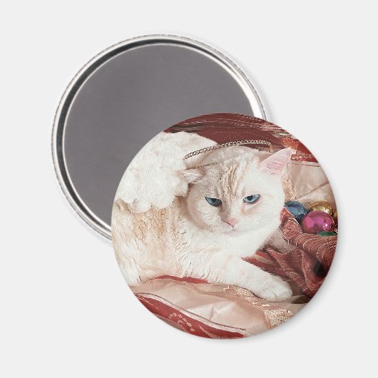 Kitty Angel for Christmas Magneet (Voorkant / Achterkant)