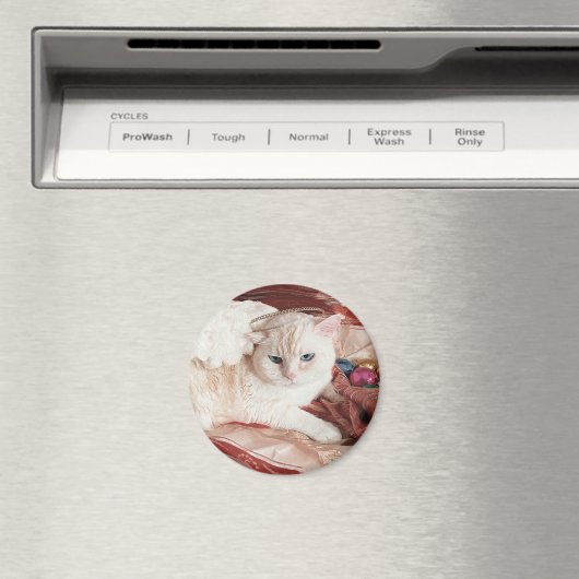 Kitty Angel for Christmas Magneet (Insitu (Vaatwasser))