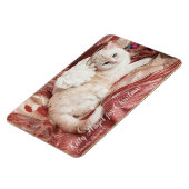 Kitty Angel for Christmas Magneet (Linkerzijde)