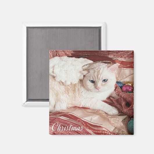 Kitty Angel for Christmas Magneet (Voorkant / Achterkant)