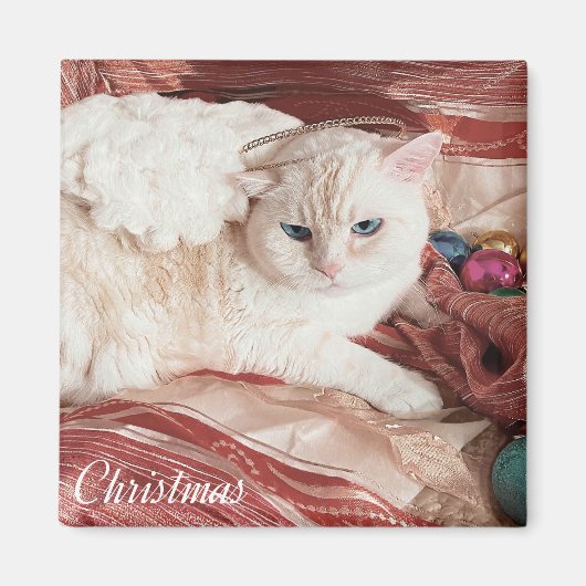 Kitty Angel for Christmas Magneet (Voorkant)