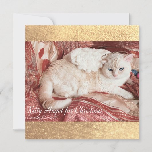 Kitty Angel for Christmas Notitiekaartje (Voorkant)