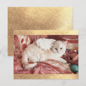 Kitty Angel met Kerstmis Briefkaart (Voorkant / Achterkant)