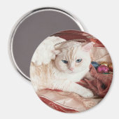 Kitty Angel voor Kerstmis Magneet (Voorkant / Achterkant)