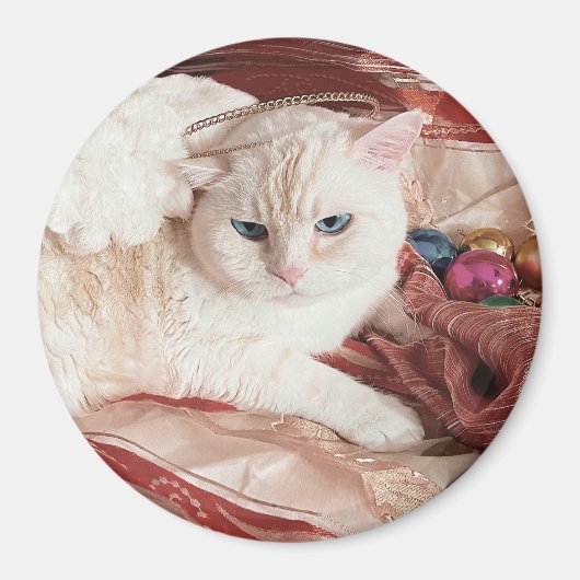 Kitty Angel voor Kerstmis Magneet (Voorkant)