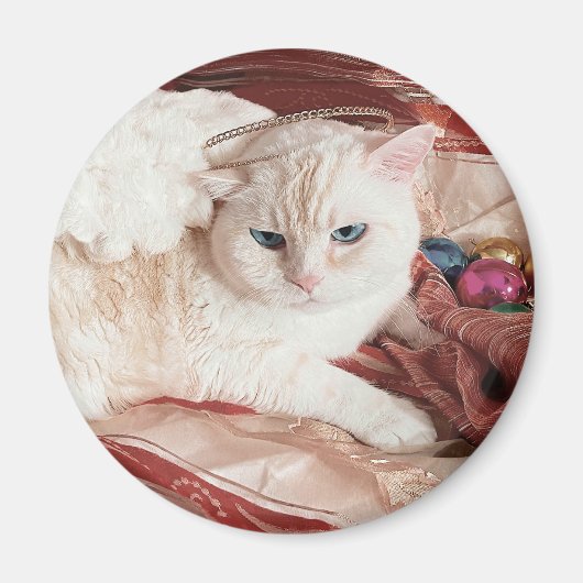 Kitty Angel voor Kerstmis Magneet (Voorkant)